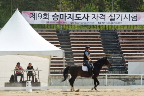 앞으로 말산업 국가자격시험에 응시하려는 자는 일반병원에서도 마약류 및 향정신․의약품 중독 검사결과 진단서를 발급 받을 수 있게 됐다. 사진=마사회