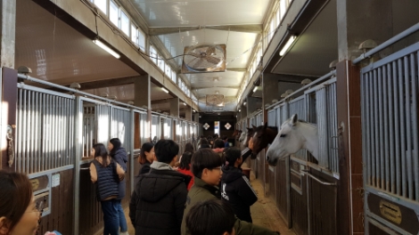 한국마사회 말박물관은 오는 2월 8일 과천 서울경마공원에서 활동 중인 기수·조교사·관리사 등 경마 유관기관 종사자 자녀를 대상으로 겨울방학 체험 프로그램을 진행한다. 사진=마사회