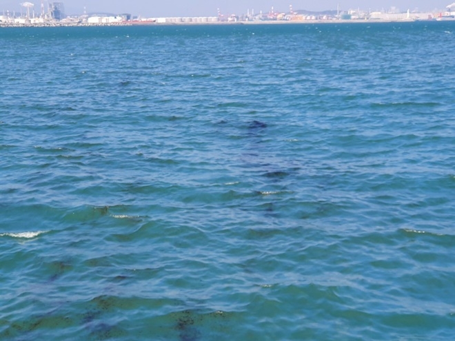 오염사고 흔적.(사진제공=울산해양경찰서)