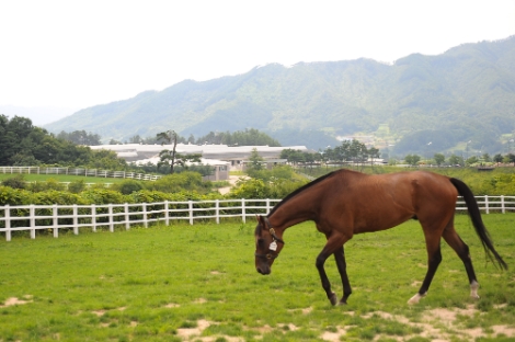 장수목장 전경. 사진=마사회