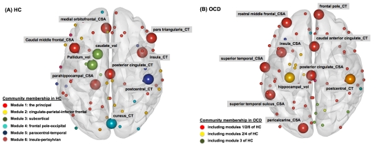 정상인(왼쪽)과 강박증 환자(오른쪽)의 ‘뇌 구조 변이 네트워크’ 비교. 정상인은 전반적으로 6개의 모듈로 구분지어지지만, 강박증은 3개에 불과하다. 사진=서울대병원