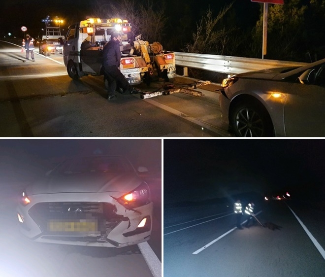 기장군 자동차전용도로서 멧돼지 충격 교통사고 현장.(사진제공=부산경찰청)