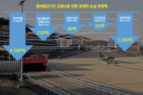코로나로 멈춰 선 경마....말 산업에 드리운 '코로나 블루'