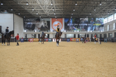 마사회, 코로나 블루 타개 위한 '말산업 컨설팅' 전개