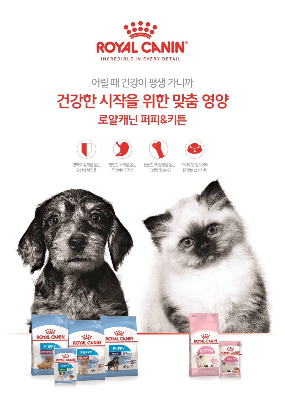 로얄캐닌코리아 ‘건강한 시작’ 캠페인 전개