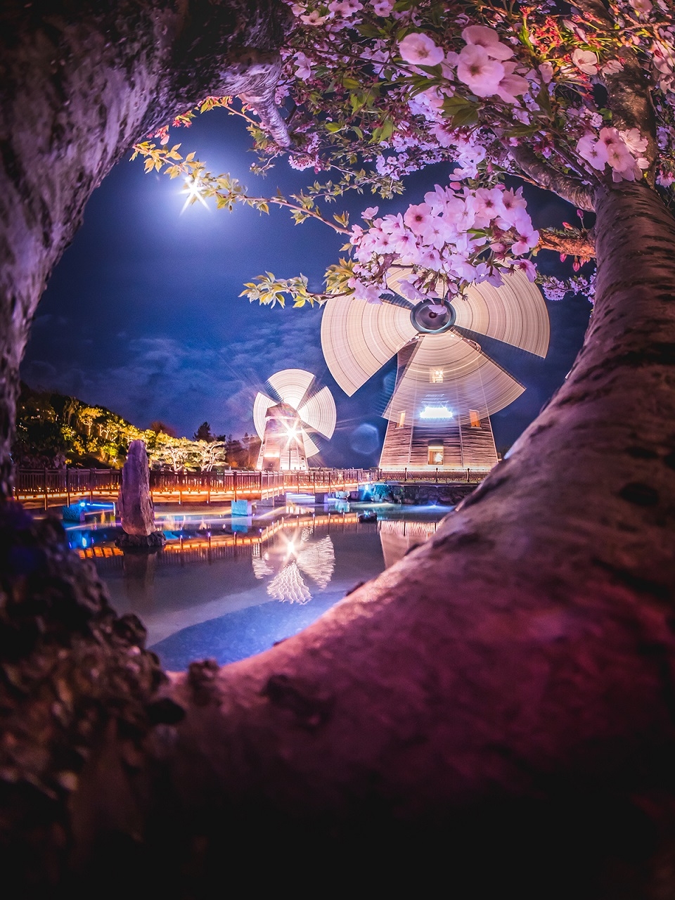 롯데호텔제주 풍차 라운지.(사진= 롯데호텔제주)