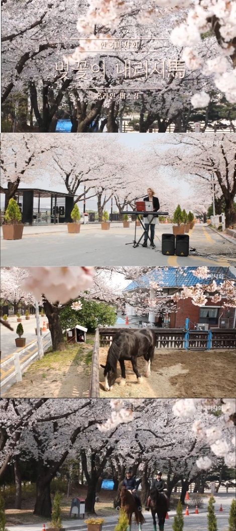 한국마사회, ‘방구석 벚꽃 버스킹’ 공개