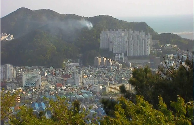 부산 사하구 아미산 7부능선 산불. (사진제공=부산시)