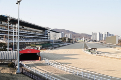 마사회, 경마 임시 휴장기간 추가 연장...오는 5월 10일까지