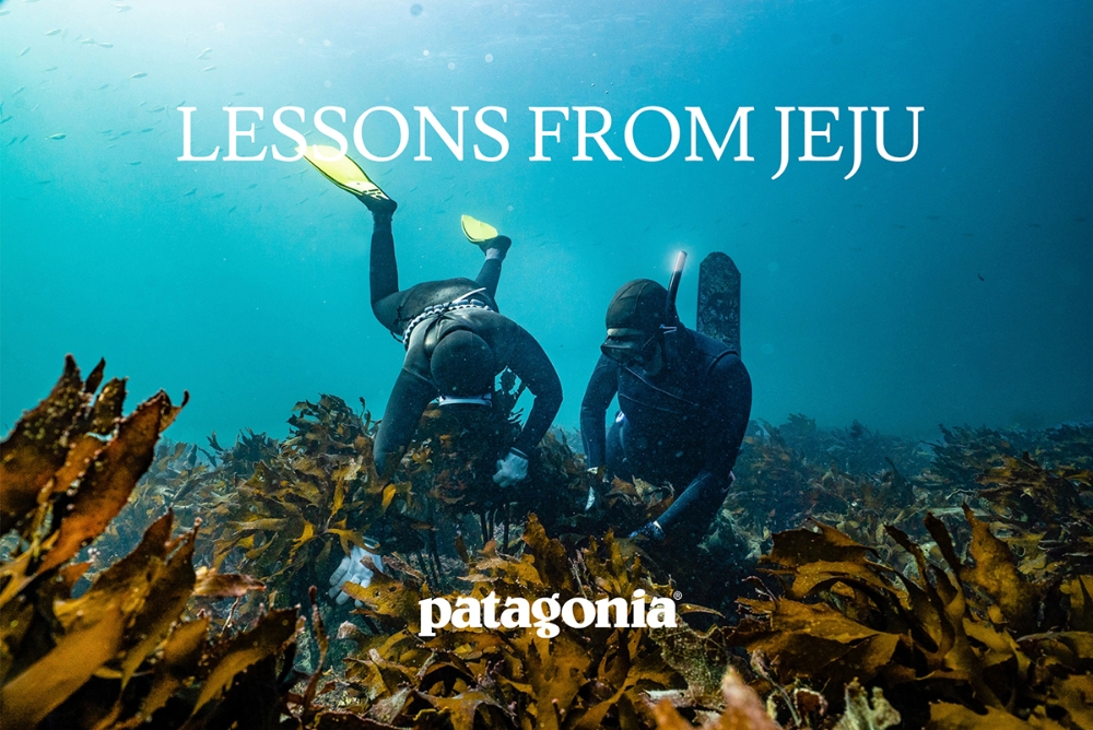파타고니아, 다큐멘터리 영상 ‘제주에서 얻은 교훈(Lessons from Jeju)’ 공개