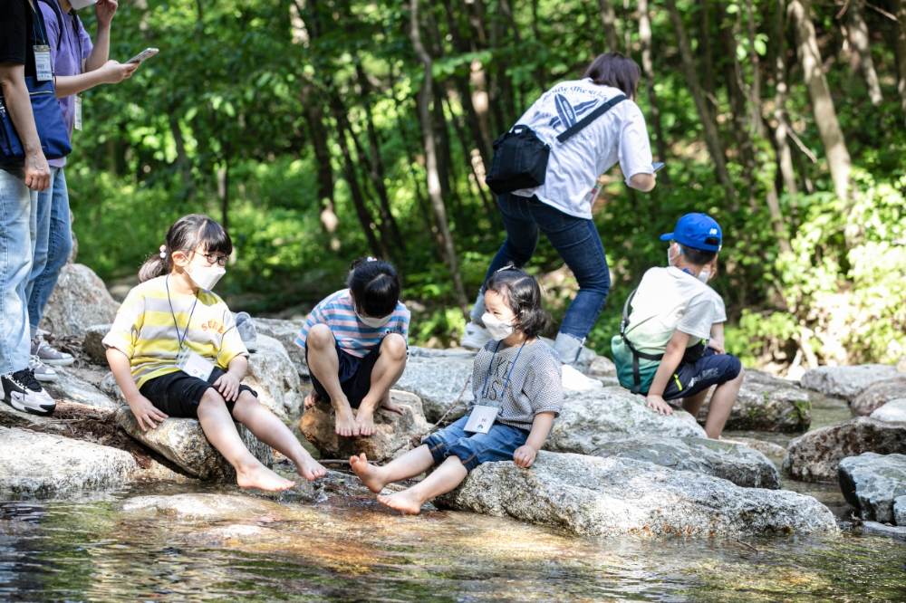 영주 산림치유원에서 보호대상아동들이 ‘온드림 숲 속 힐링교실’ 프로그램에 참여하고 있다.