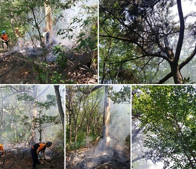 출동한 소방대가 화재를 진화하고 있다. (사진제공=부산경찰청)