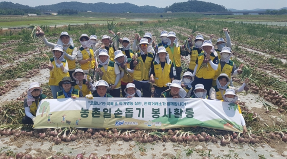 전력거래소(이사장 조영탁)는 코로나19 장기화로 인력수급에 어려움을 겪고 있는 인근 농가에 사내봉사단(반디봉사단)을 파견하여 농산물이 적기에 수확될 수 있도록 힘을 보탰다.(사진=전력거래소)
