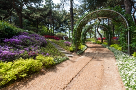 한국마사회, 산책로·수목울타리 조성사업으로 그린뉴딜 박차
