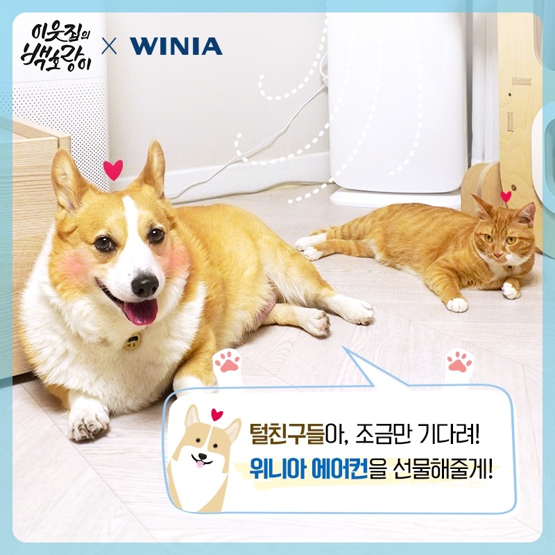 위니아딤채, 펫스타 ‘백호’와 유기동물보호센터에 위니아 에어컨 기부