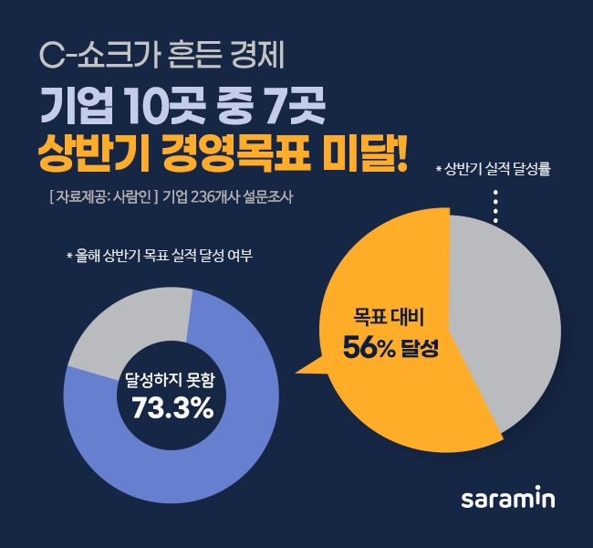 C-쇼크가 흔든 경제, 기업 73%가 상반기 경영 목표 미달