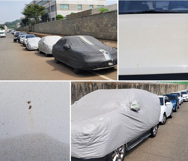 차량표면에 붙은 분진과 피해가 속출하다보니 스스로 커버를 씌워놓은 차량들.(사진제공=플랜트노조 울산지부)