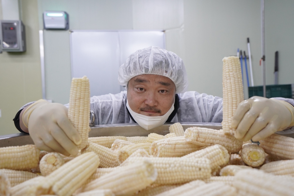 CJ ENM 다이아 티비, '농어촌상생 프로젝트' 4탄 '홍천 유기농 삶은 찰옥수수' 론칭