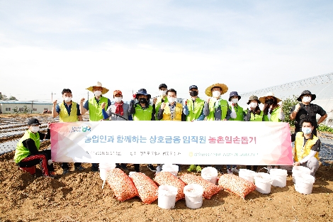 농협 상호금융기획부 직원들이 21일 경기 고양시 법곳동에 위치한 마늘농가를 찾아 일손돕기를 실시한 후 기념촬영을 하고 있다. 사진=농협중앙회