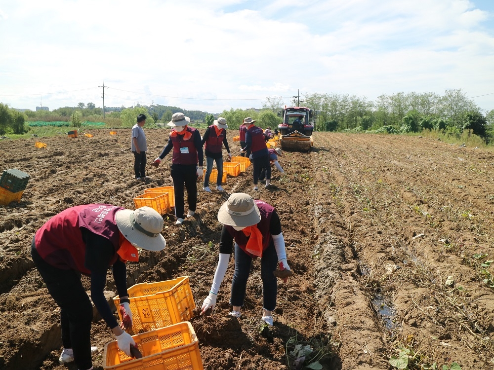 SR 노·사 공동 사회공헌활동 모습.(사진=SR)