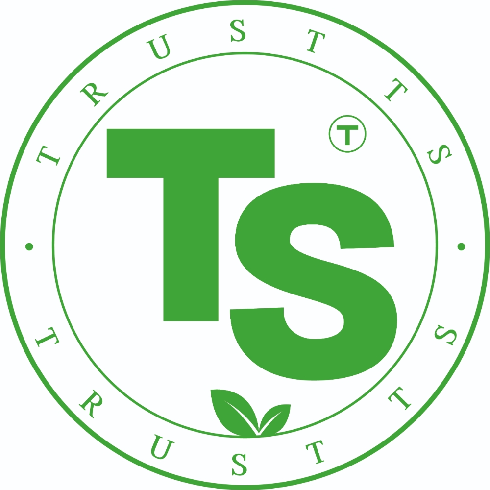 TS트릴리온, 하이제4호스팩과 합병 증권신고서 제출