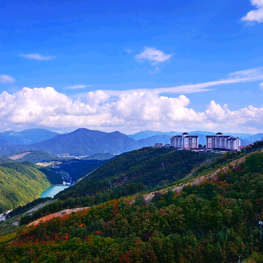 오투리조트 가을 절경