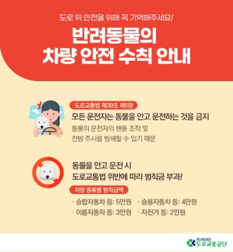 도로교통공단, 반려동물 동승 시 주의사항 당부