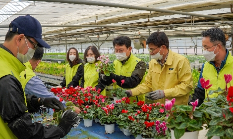 지난 20일, 김광수 회장(사진 오른쪽 3번째), 김인태 부사장(사진 오른쪽 1번째) 등 농협금융 임직원 봉사단들이 일손 부족으로 어려움을 겪고 있는 김포 소재 화훼 농가를 방문해 화분 솎기 작업을 하고 있다. 사진=NH농협금융지주