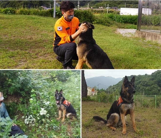 인명구조견 투리 활약.(사진제공=경상남도)