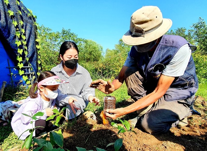 BGF그룹, 3,355알 도토리 나무 상암동 이사 실시