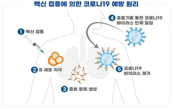 식약처, SK바이오사이언스 코로나19백신(1상) · 동화약품 치료제(2상) 임상 승인