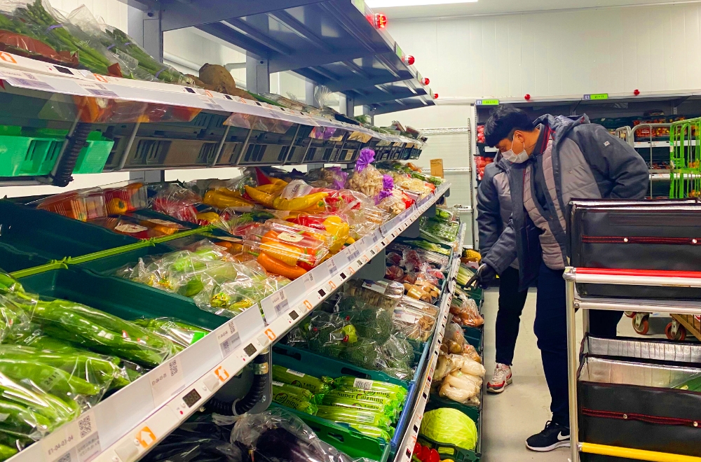 롯데마트, 서울/부산 전 권역 12월부터 새벽 배송 가능