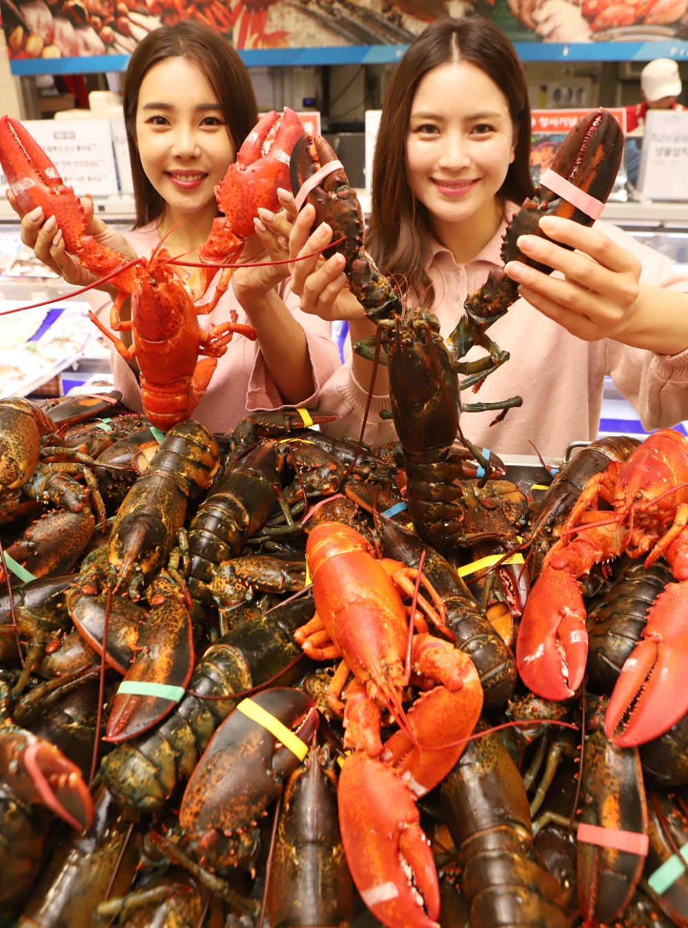 롯데마트, ‘노르웨이 생연어·캐나다 자숙 랍스터’ 판매