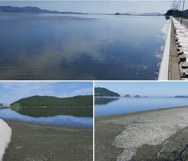 송도 준설토 투기장 유수지 형성 전경.(사진제공=영남대 박영목 교수)
