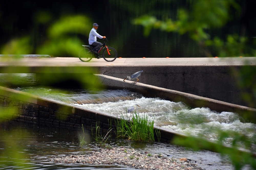 농어촌공사, 어도(魚道) 사진 공모전 입상작 발표