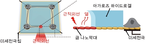 나노 광열 신경 칩 플랫폼 모식도. 사진=KAIST