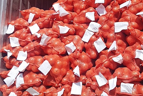 aT, 수입동향 조사결과 민간 수입 전년 동기대비 6배 증가