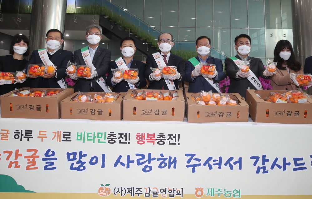 농협, 만감류 소비촉진 행사 개최