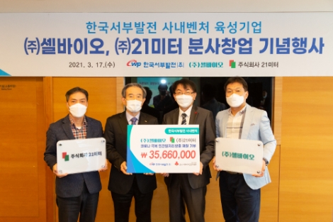 서부발전 사내벤처, 독립기업으로 분사