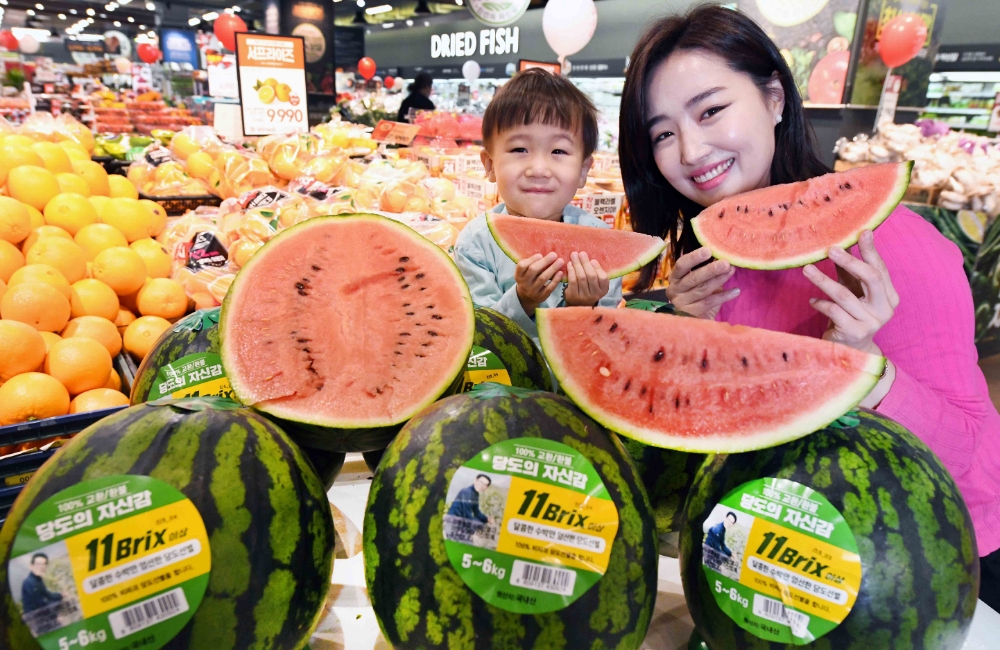 22일 홈플러스 강서점에서 모델이 ‘2021년 봄 수박’을 선보이고 있다. 홈플러스는 경남 함안군 산지에서 출하한 올해 첫 ‘봄 수박’ 판매를 시작했다.