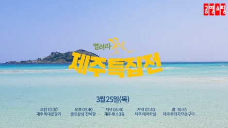 공영쇼핑, ‘열려라 꽃길 제주특집전’ 특별 편성