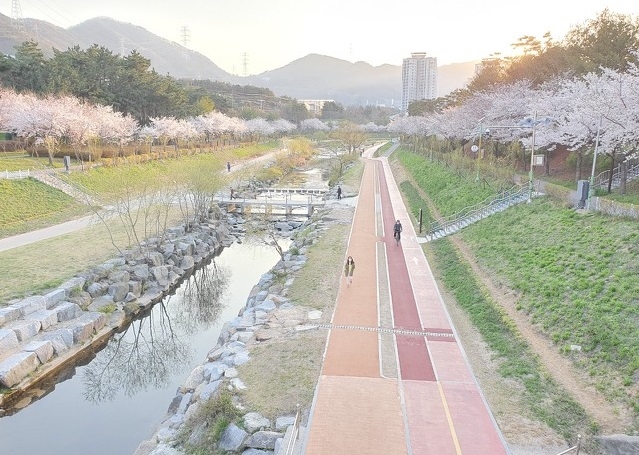 기장군 좌광천 전경.(사진제공=부산 기장군)