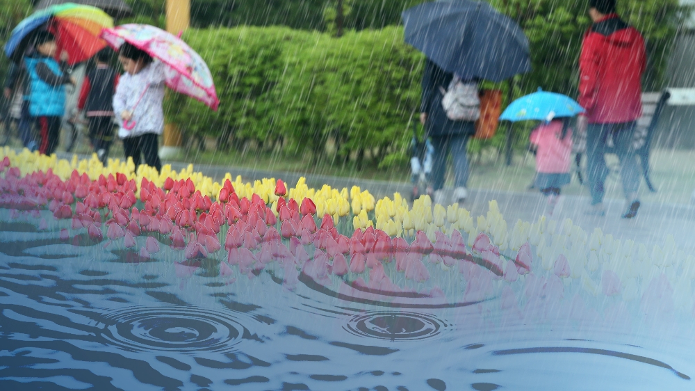 내일날씨 봄비(사진=연합뉴스)