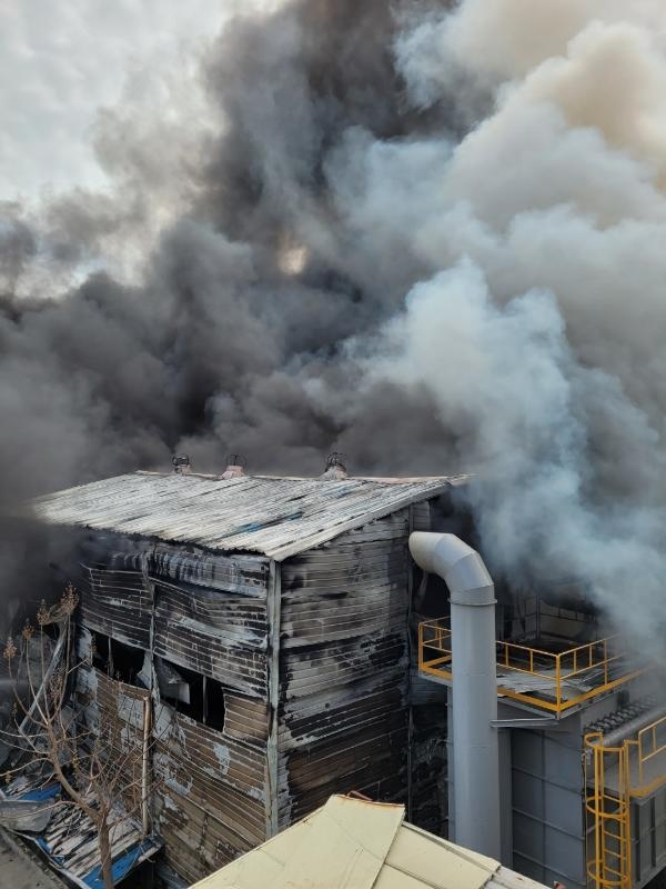 (사진제공=울산소방본부)