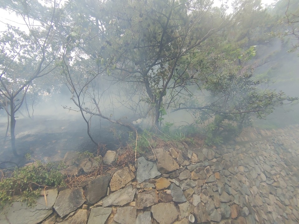 (사진제공=부산경찰청)