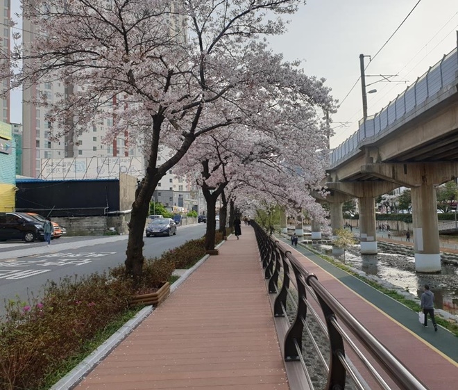걷기 좋은 금정구 .(사진제공=부산 금정구)