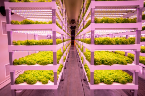 KOTRA·농식품부, 국내 스마트팜 컨소시엄 지원...중동서 수주 계약 성사