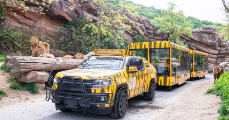 에버랜드, '사파리월드 와일드 트램' 14일 오픈