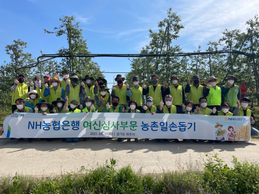NH농협은행 여신심사부문, 과수농가 일손돕기 나서