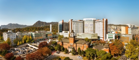 서울대병원, PA 양성화 움직임에 의료계 "즉각 철회해야" vs "정부 차원 움직임 필요"